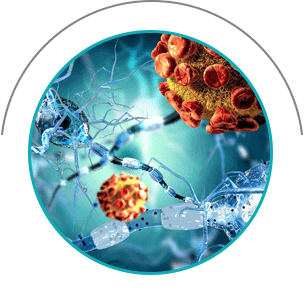 Грибок Протект